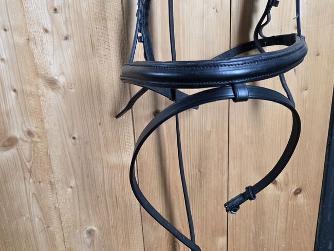 Kaltbluttrense Gr. XXF schwarz Trense, Sandra , Bridles & Headstalls, Ampfing , Image 3