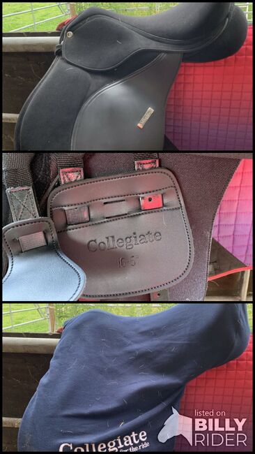 Collingate 16.5 xsaddle, Collingate , Gemma Kelly, All Purpose Saddle, Preston, Image 4