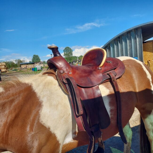 Colorado saddle, Colorado saddlery, Kamila, For Horses, Wrocław