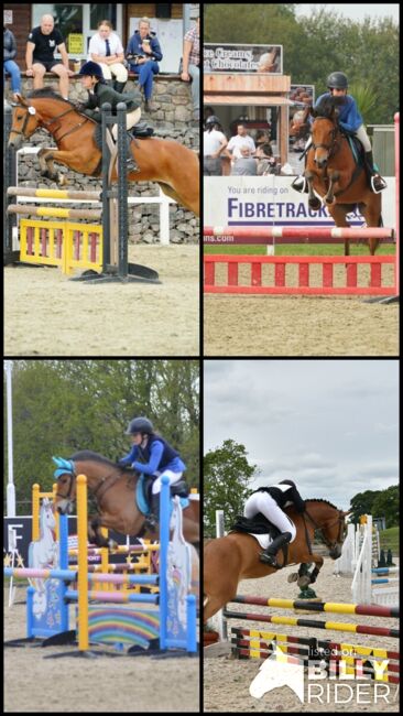 Competition pony, Amy Denton, Horses For Sale, Cardiff, Image 15