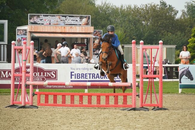 Competition pony, Amy Denton, Konie na sprzedaż, Cardiff, Image 10