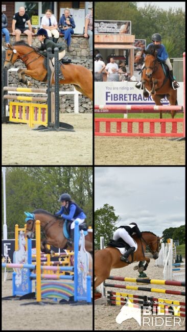 Competition pony, Amy Denton, Pferd kaufen, Cardiff, Abbildung 15