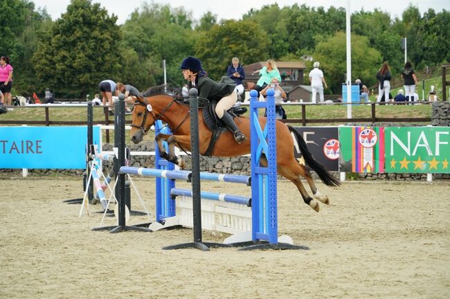 Competition pony, Amy Denton, Pferd kaufen, Cardiff, Abbildung 14