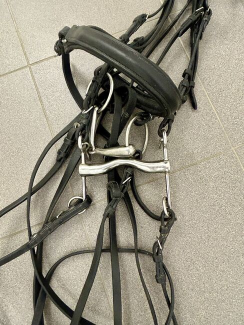 Complete cander sling dressage Full, Euroriding, Katerina, Bridles & Headstalls, Luxembourg, Image 4