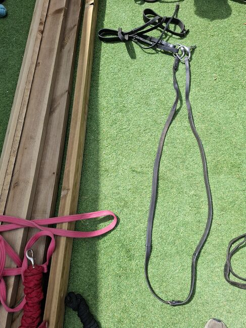 Complete set of horse tack and saddle, Pariani selle, Aaron , Pozostałe siodła, Cambridge , Image 8