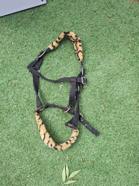 Complete set of horse tack and saddle, Pariani selle, Aaron , Sonstiger Sattel, Cambridge , Abbildung 10