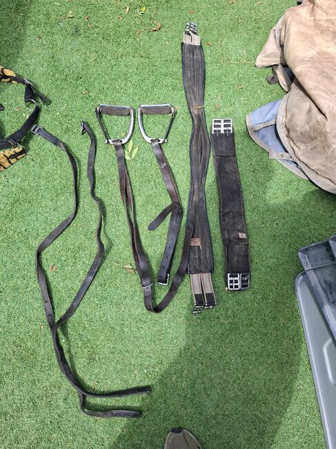 Complete set of horse tack and saddle, Pariani selle, Aaron , Sonstiger Sattel, Cambridge , Abbildung 6