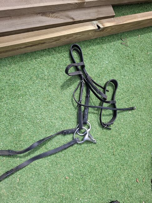 Complete set of horse tack and saddle, Pariani selle, Aaron , Sonstiger Sattel, Cambridge , Abbildung 7