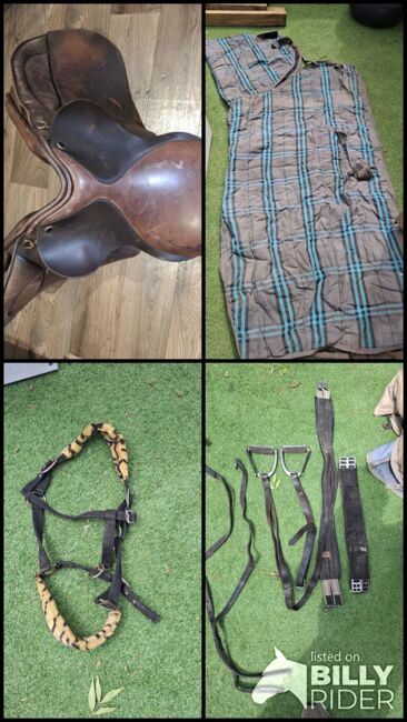 Complete set of horse tack and saddle, Pariani selle, Aaron , Sonstiger Sattel, Cambridge , Abbildung 15