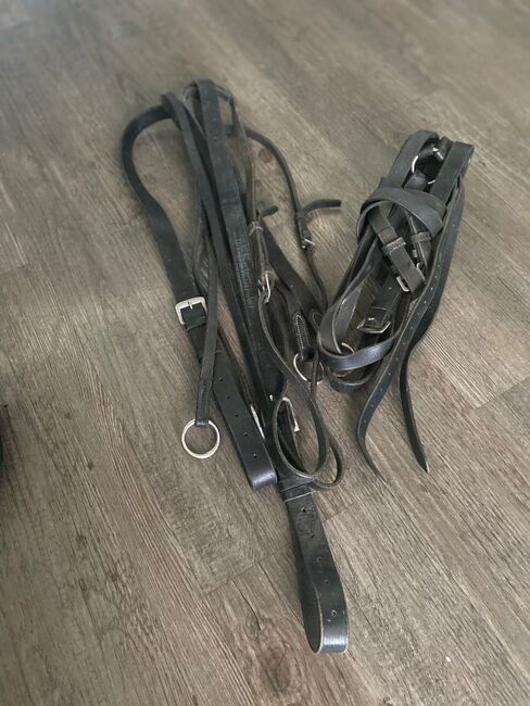 Komplettset / Starterset für den Pferdesport, Marcus, Halters, Markranstädt, Image 12