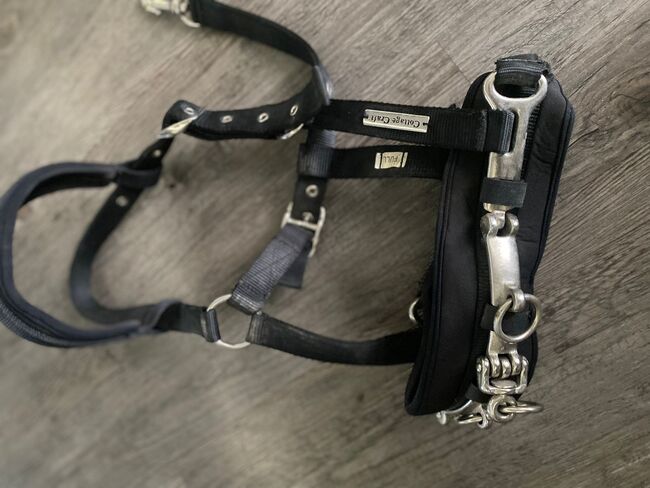 Komplettset / Starterset für den Pferdesport, Marcus, Halters, Markranstädt, Image 5