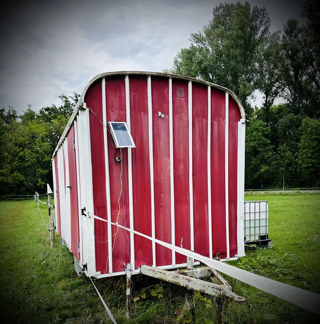 Bauwagen/Ziekuswagen, Kerstin , Tack Room & Stable Supplies, Weil am Rhein, Image 8
