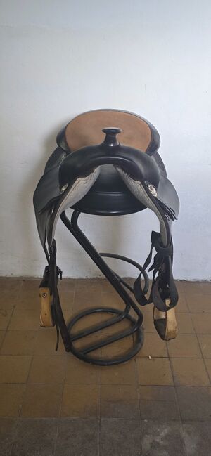 Continental 137, Continental  137, Jeannette Weißenborn , Western Saddle, Nessetal, Image 4