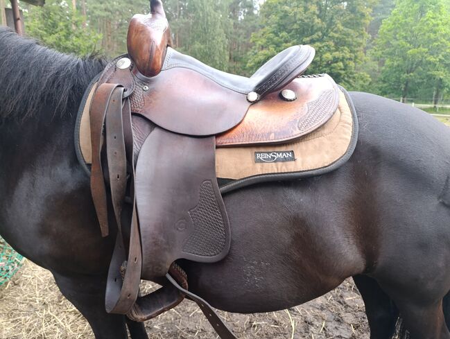 Siodło westernowe Continental, Continental , Joanna , Western Saddle, Brzoza, Image 5