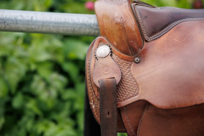 Continental 170, Continental 170, Josy, Western Saddle, Pfatter, Image 6