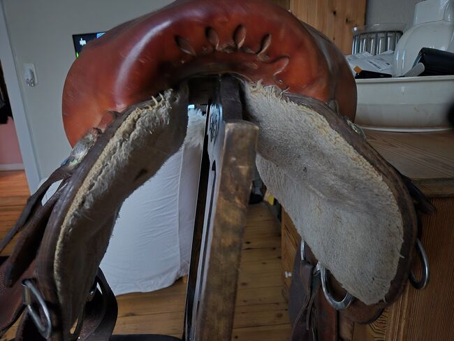 Westernsattel Continental 170, Meddy, Western Saddle, Kiel, Image 4