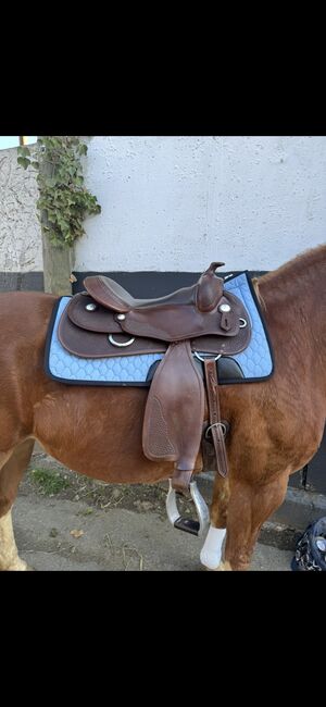 Continental Equiflex, Equiflex, Lisa, Western Saddle, Solingen