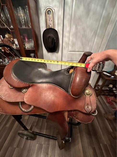 Continental Saddle 17’ reiner, Mac, Other, AL, Image 2
