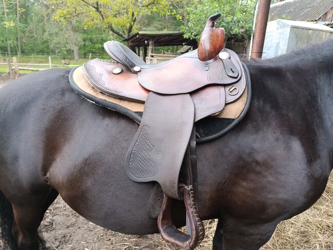 Siodło westernowe Continental, Continental , Joanna , Western Saddle, Brzoza, Image 4