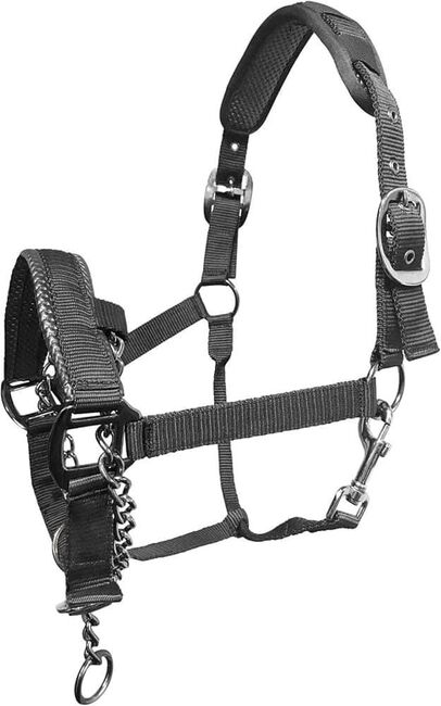 Control headcollar, Mitchell Moor, Halters, Cheltenham 