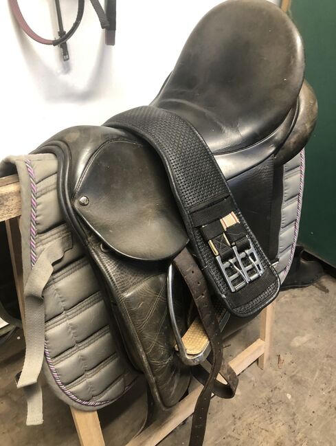 County Competitor 2000 Spring Tree Dressursattel 17“, County Competitor 2000 Spring Tree, Johanna, Dressage Saddle, Duingen, Image 2