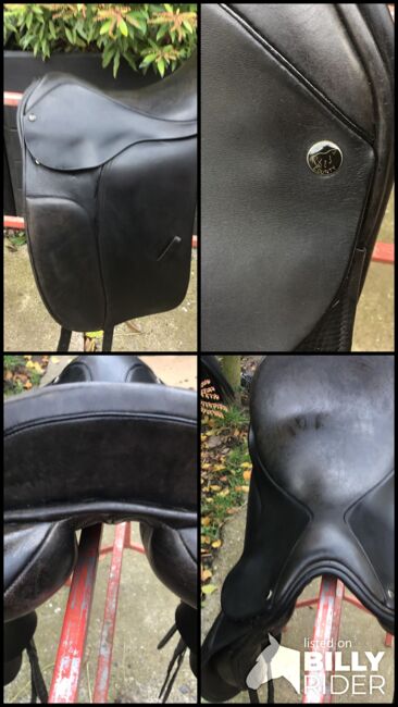 County Competitor, Country , Iris , Dressage Saddle, Borken/Hessen, Image 8