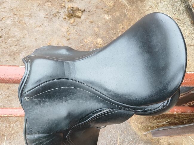 Dressursattel County Connection, Katharina S., Dressage Saddle, Bisamberg, Image 2