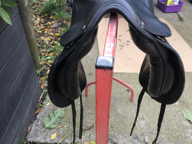 County Competitor, Country , Iris , Dressage Saddle, Borken/Hessen, Image 3