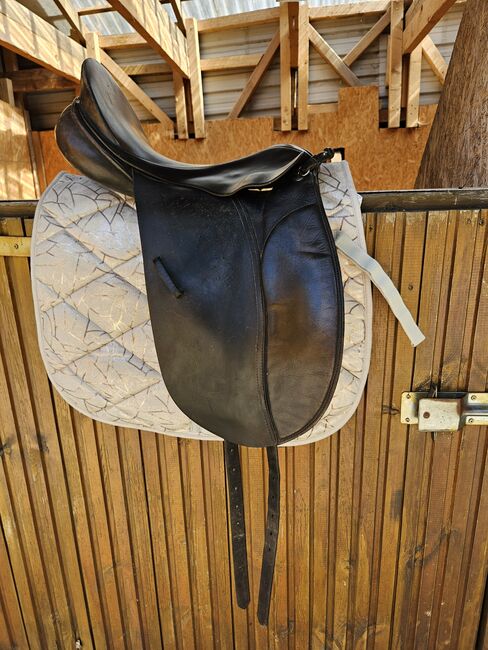 County Dressursattel, County , Jenny Scheffel , Dressage Saddle, Hitzacker 