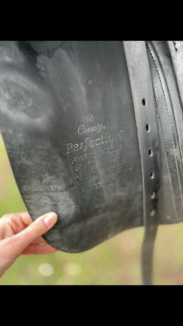 County  Perfection dressage Sattel, County  Perfection, Kai Legleitner, Dressage Saddle, Pirmasens, Image 8