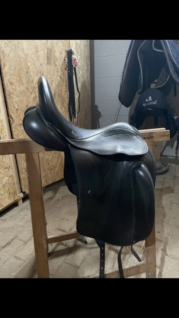 County  Perfection dressage Sattel, County  Perfection, Kai Legleitner, Dressage Saddle, Pirmasens, Image 4
