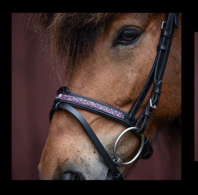 CrownHorse Trense, CrownHorse , Eva, Bridles & Headstalls, Siegbach, Image 15