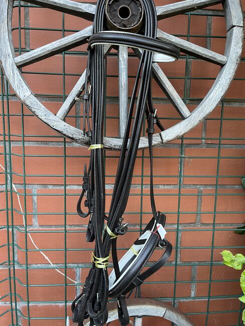 Kandarrenzaum, Robust, Janine Haack, Bridles & Headstalls, Elze, Image 3