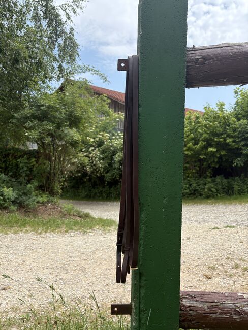 Kandare Unterlegtrense in braun, COB/ Vollblut, goldene Beschläge, Lara , Bridles & Headstalls, Zolling, Image 4