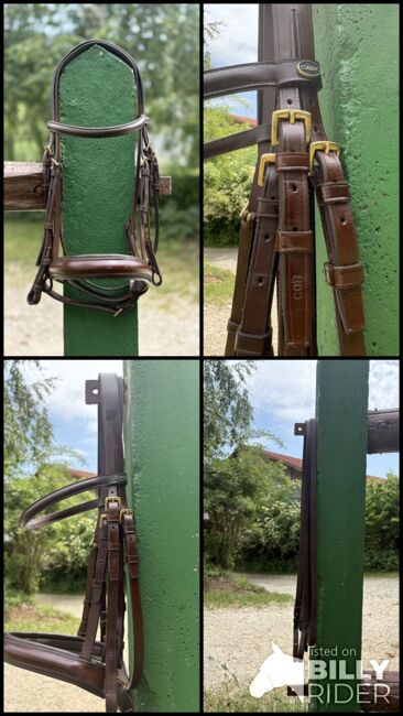 Kandare Unterlegtrense in braun, COB/ Vollblut, goldene Beschläge, Lara , Bridles & Headstalls, Zolling, Image 5