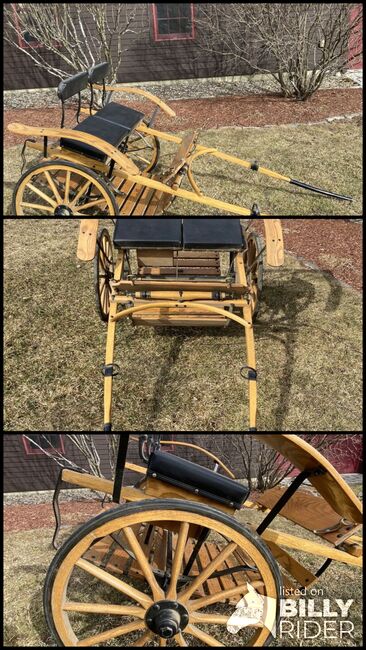 Custom made Wooden Pony Cart, Rubber Wheels, Kerry Hammond , Powozy konne, Greenfield, MA, Image 4
