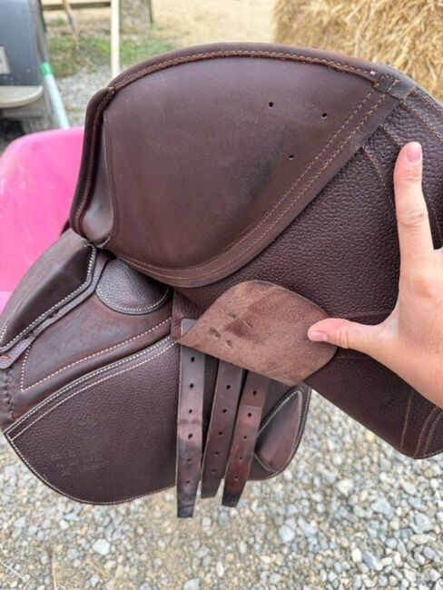 CWD Springsattel, CWD SE31 S2 TR 3C, Wolfang, Jumping Saddle, Frankfurt, Image 2
