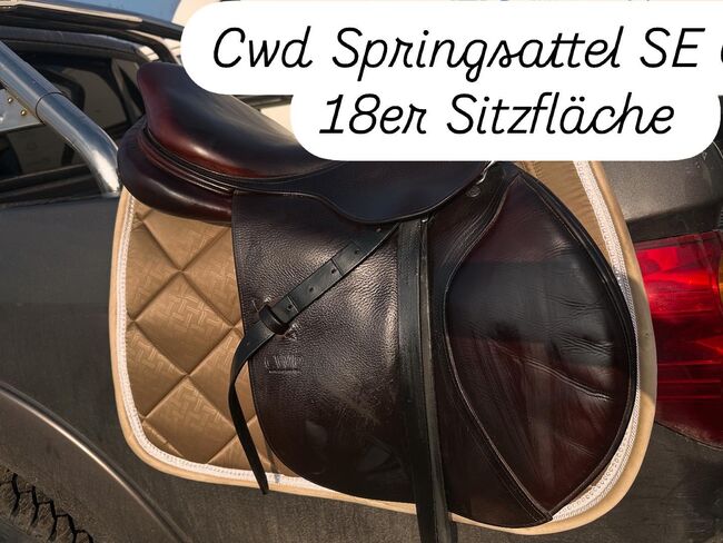 Cwd Springsattel, Cwd, Nicole Hoffmann, Jumping Saddle, Erkelenz, Image 14