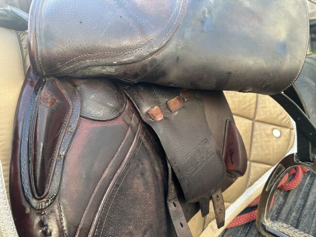 Cwd Springsattel, Cwd, Nicole Hoffmann, Jumping Saddle, Erkelenz, Image 7