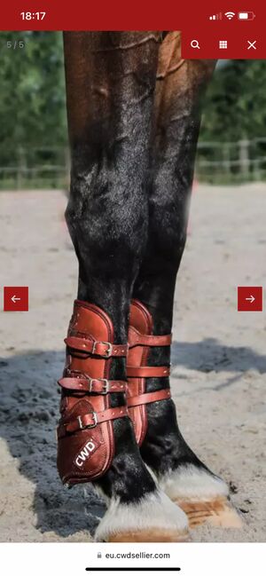 CWD Ledergamaschen, CWD Sehnenschoner mit Schnallen, Nina Speis, Tendon Boots, Hückelhoven, Image 2