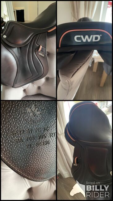 CWD Mademoiselle Büffelleder 17 Zoll, cWD Mademoiselle , NK, Jumping Saddle, Hamburg Billstedt, Image 14