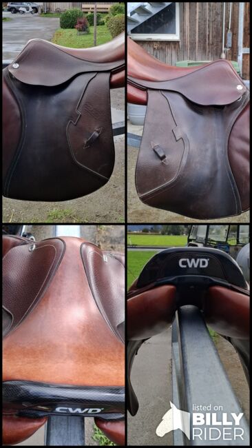 CWD SE25 zu verkaufen, CWD SE25, Sabrina, Jumping Saddle, Meiningen, Image 6