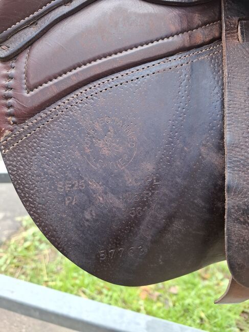 CWD SE25 zu verkaufen, CWD SE25, Sabrina, Jumping Saddle, Meiningen, Image 4