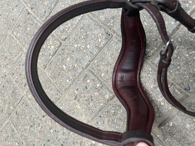 CWD Trense, CWD , Privat, Bridles & Headstalls, Dinklage , Image 6