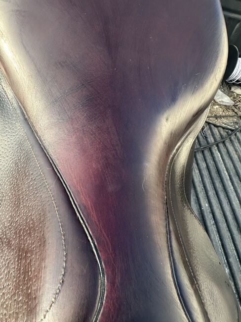 Cwd Springsattel, Cwd, Nicole Hoffmann, Jumping Saddle, Erkelenz, Image 12