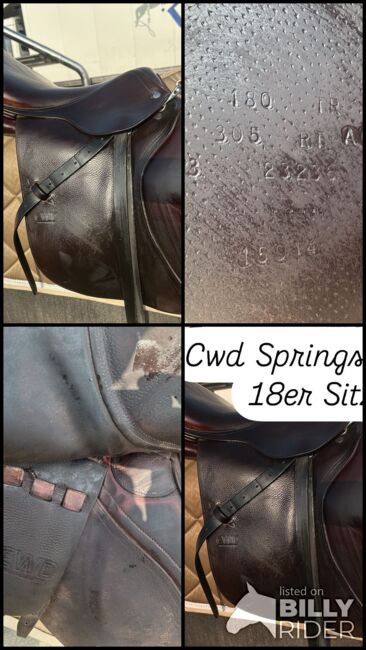 Cwd Springsattel, Cwd, Nicole Hoffmann, Jumping Saddle, Erkelenz, Image 15