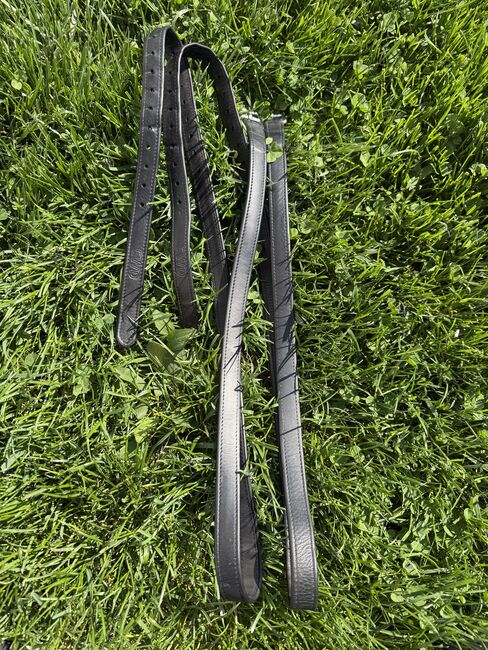 Cwd Steigbügelriemen 145cm, Cwd, Elite Equestrian (Elite Equestrian), Sattelzubehör, Güssing, Abbildung 3