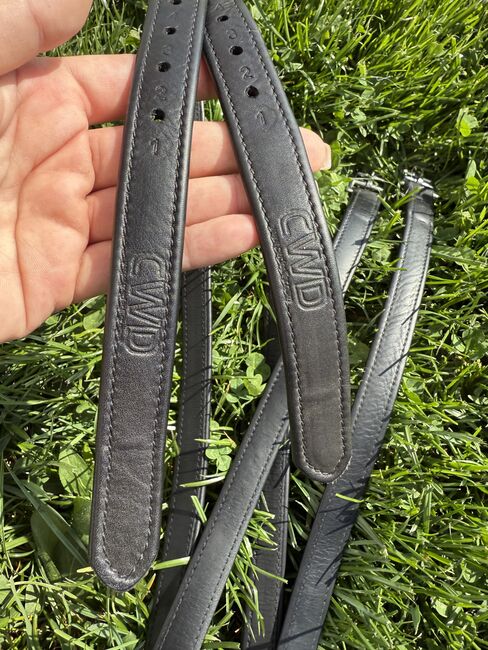 Cwd Steigbügelriemen 145cm, Cwd, Elite Equestrian (Elite Equestrian), Sattelzubehör, Güssing