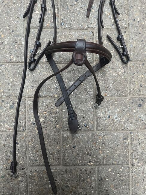 CWD Trense, CWD , Privat, Bridles & Headstalls, Dinklage , Image 3