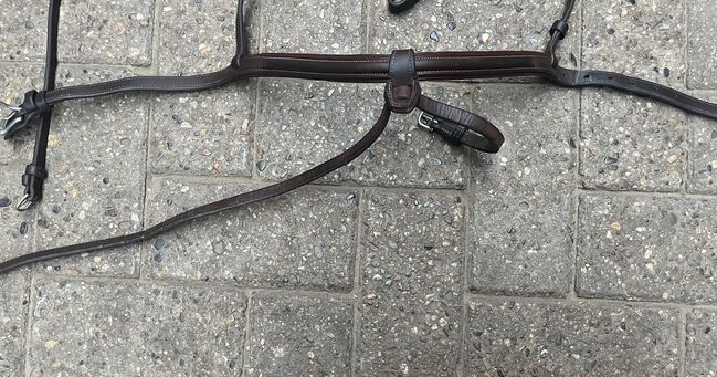 CWD Trense, CWD , Privat, Trensen, Dinklage , Abbildung 9